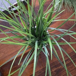 Lush Faux Green Grass Arrangement